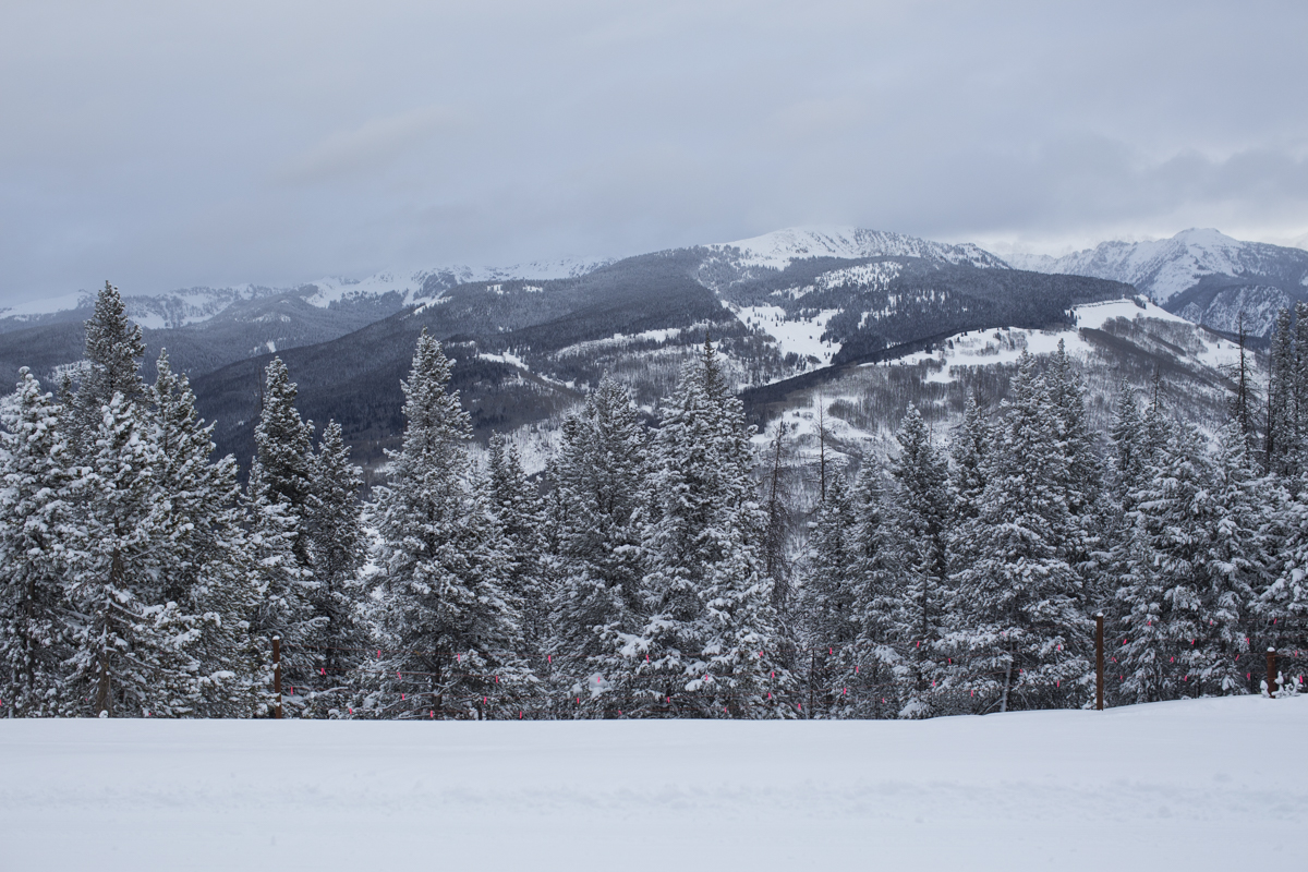 Vail-1.jpg