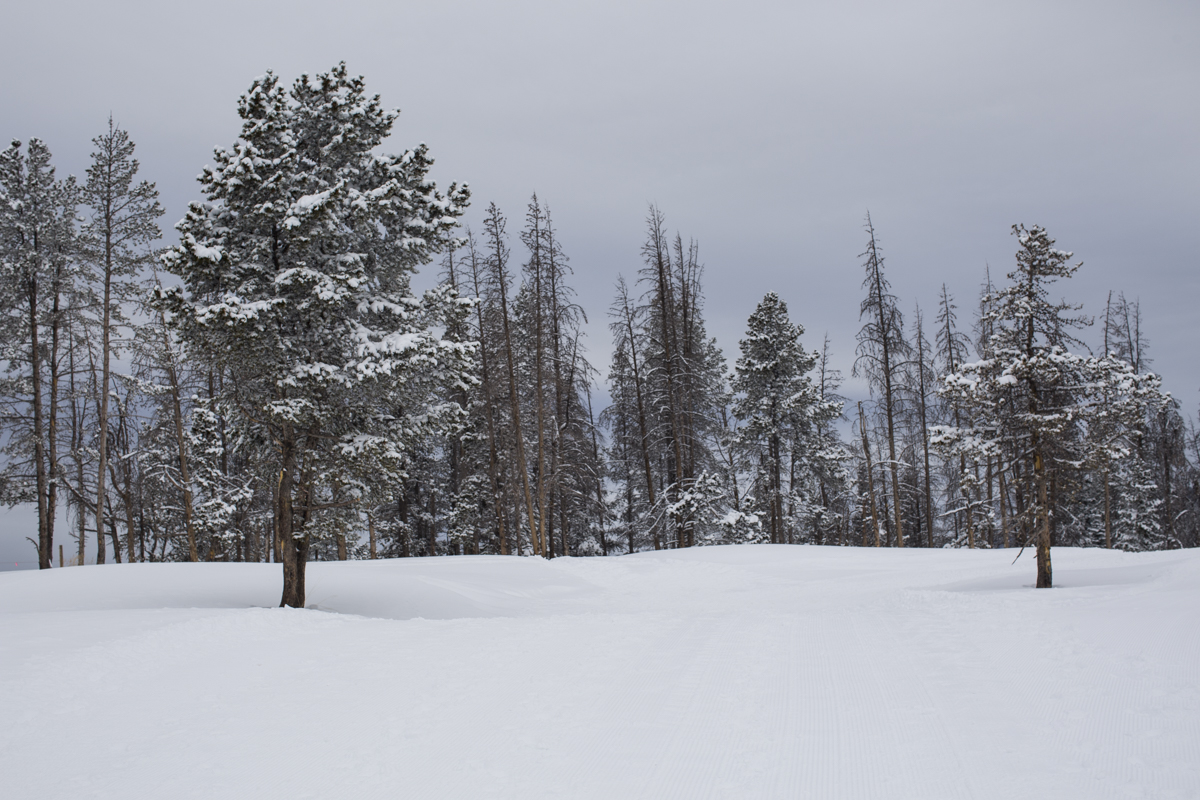 2-Vail-11.jpg