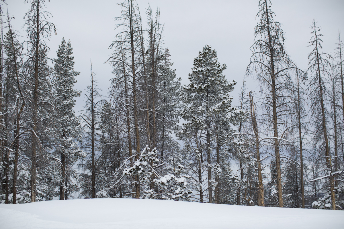 2-Vail-20.jpg