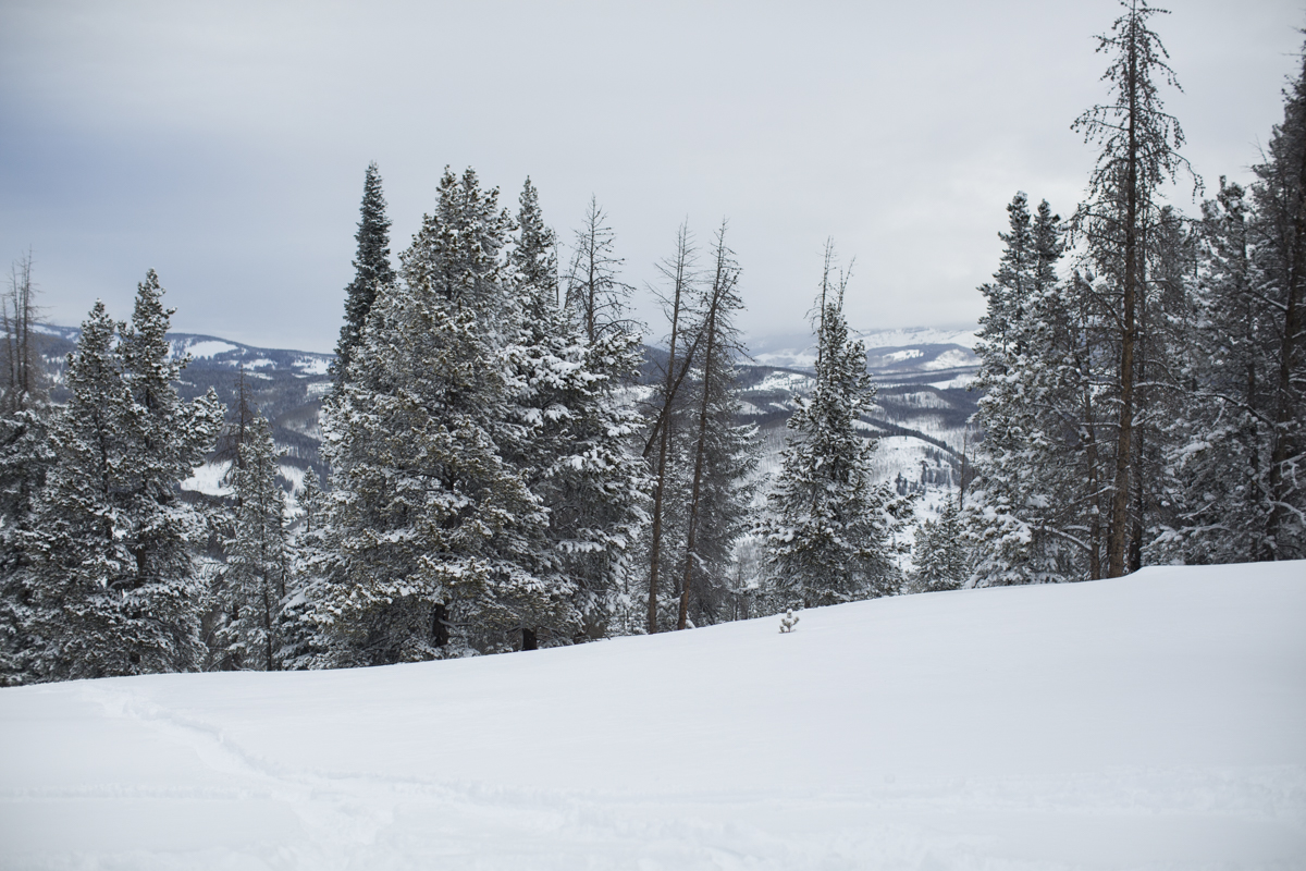 2-Vail-21.jpg