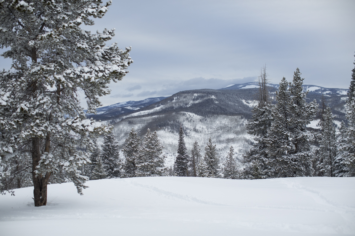 2-Vail-22.jpg