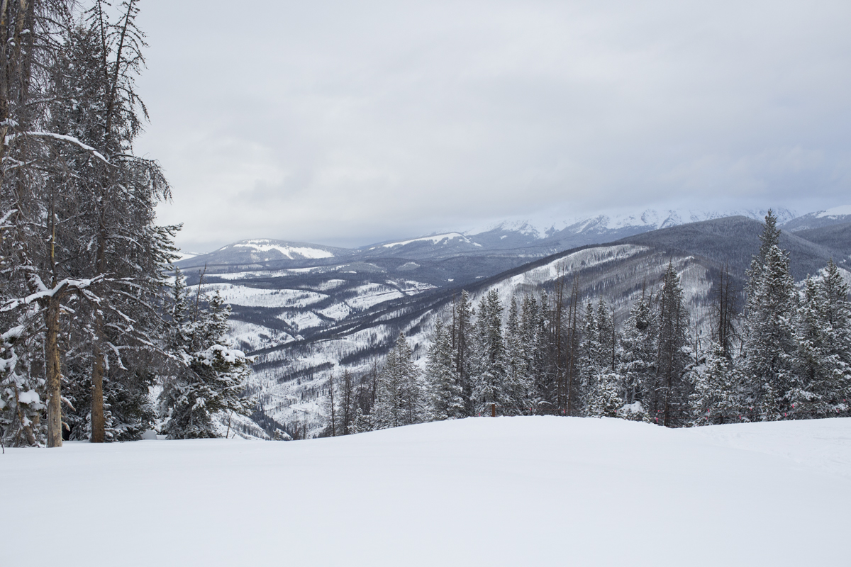 2-Vail-26.jpg