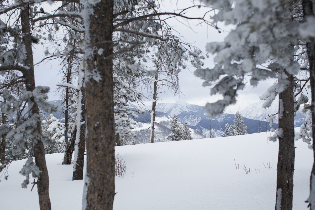 2-Vail-25.jpg