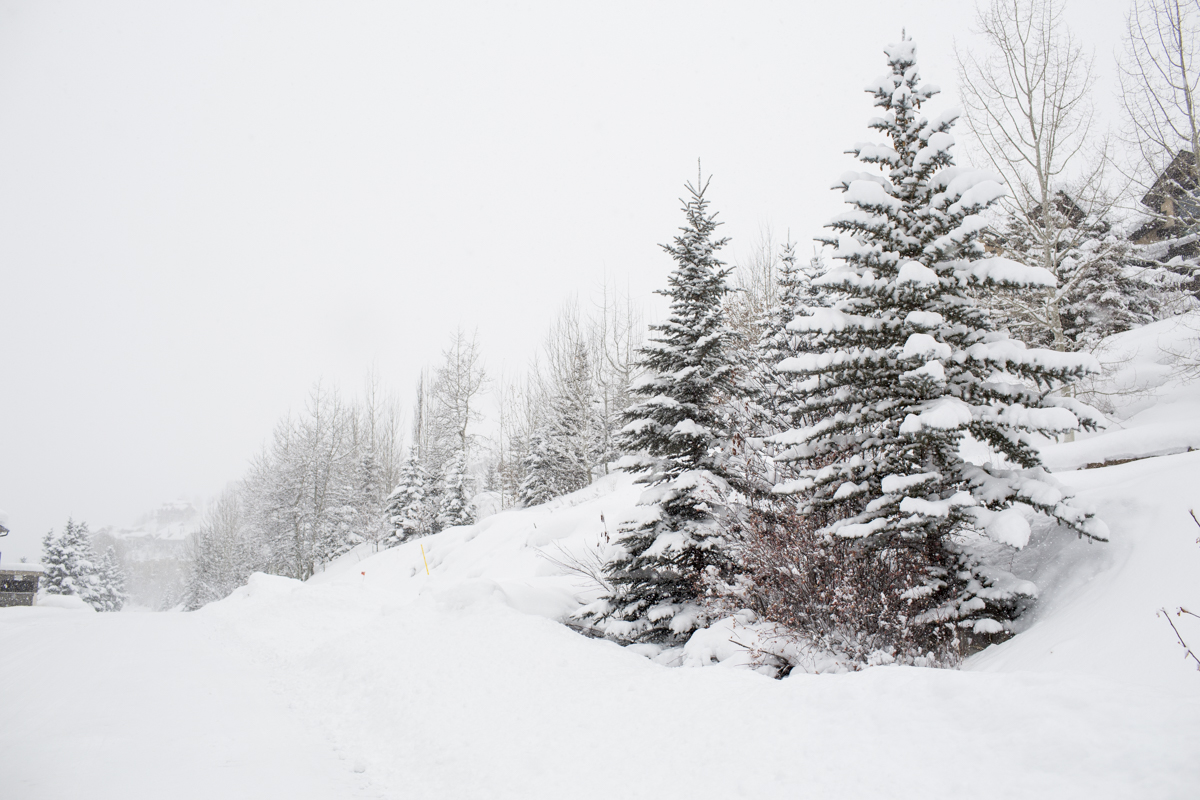 2-Vail-48.jpg