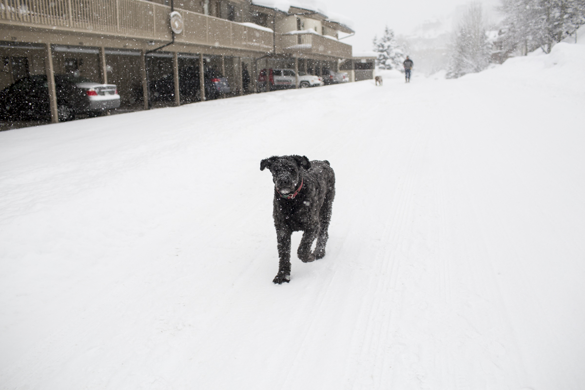 2-Vail-49.jpg