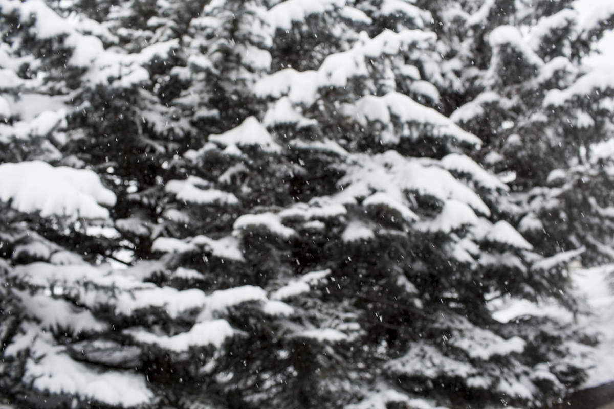 2-Vail-51.jpg