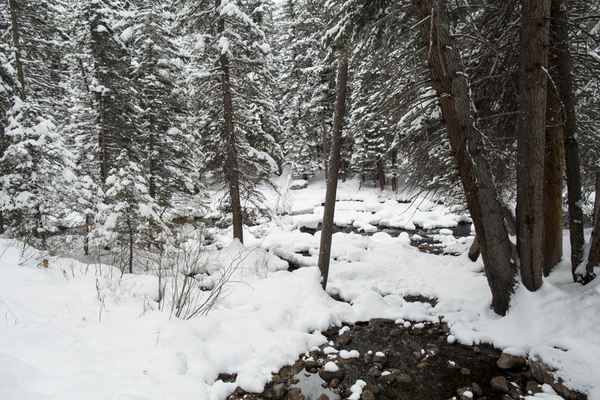 2-Vail-58.jpg