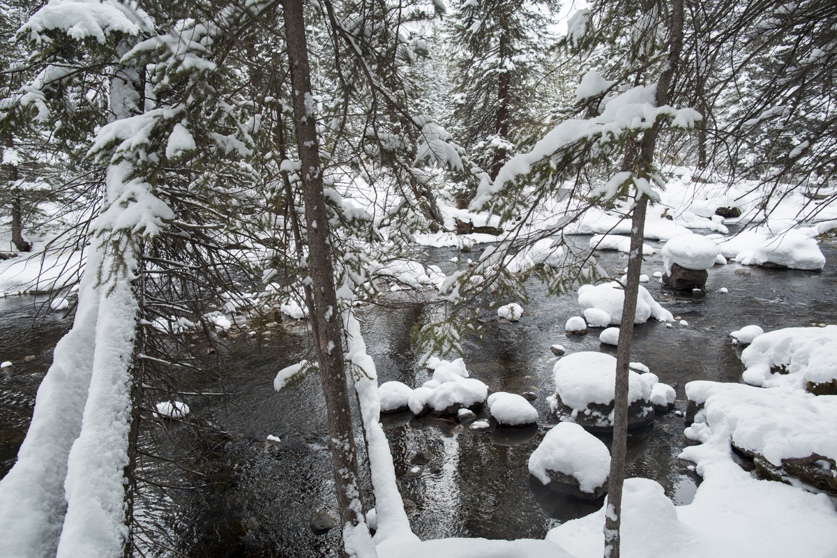 2-Vail-62.jpg