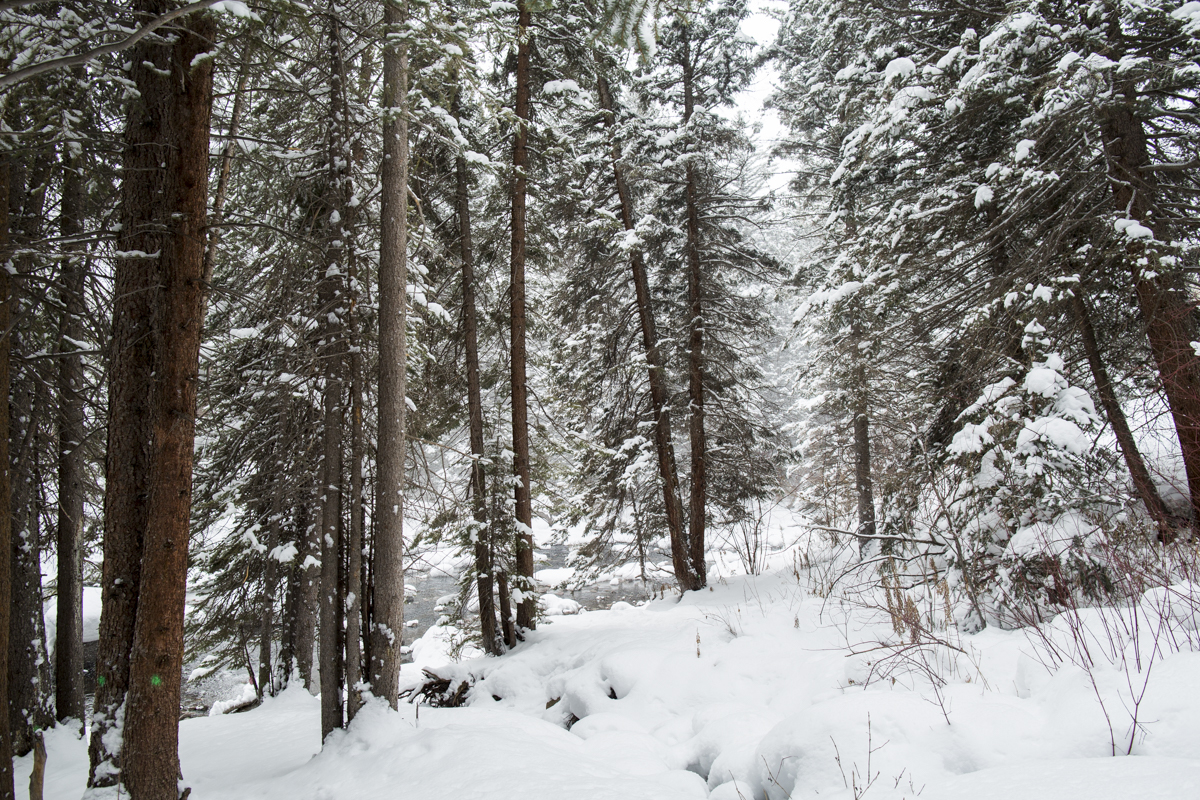 2-Vail-61.jpg