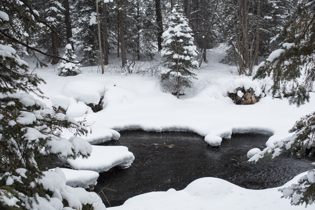 2-Vail-68.jpg