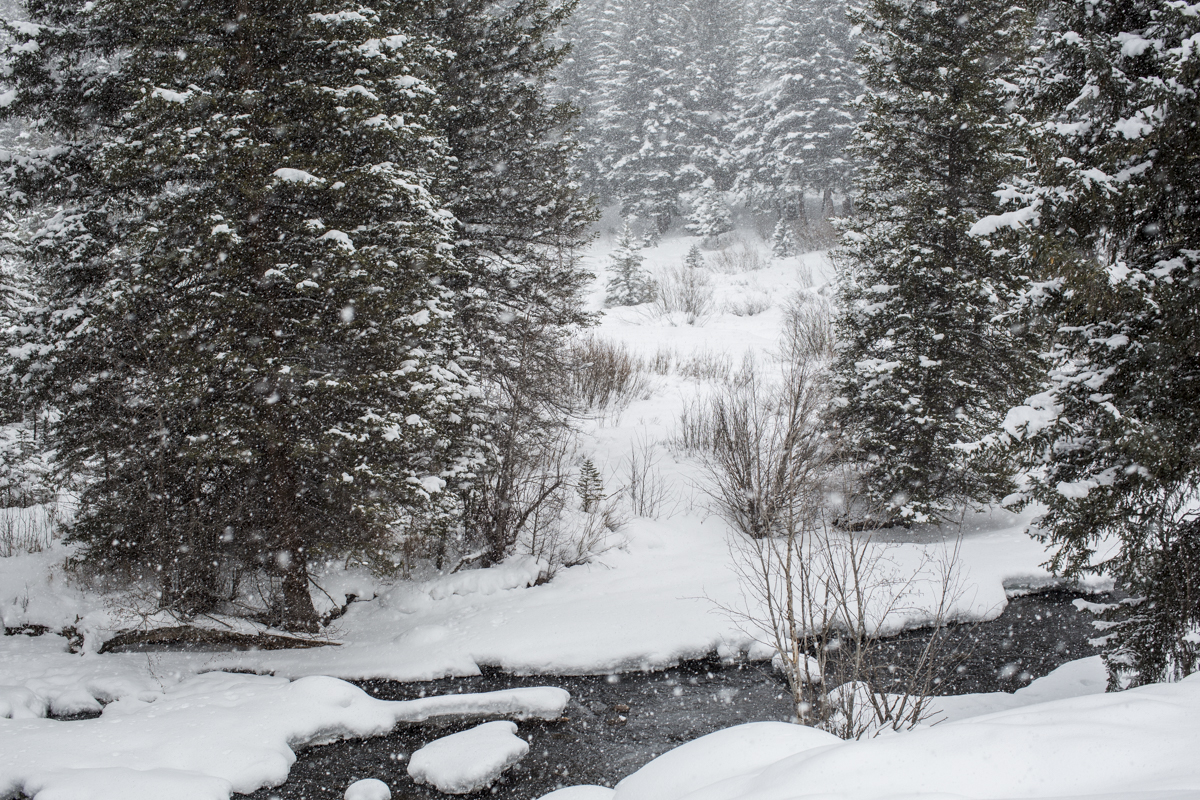 2-Vail-70.jpg