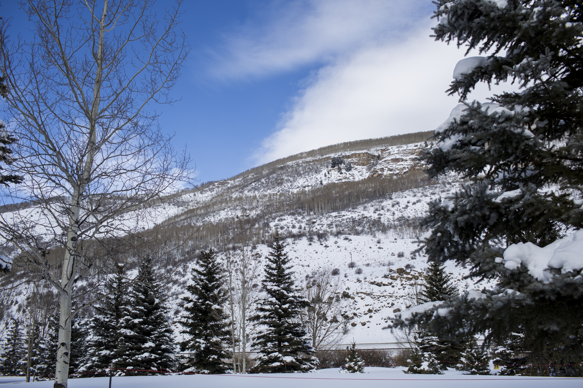 2-Vail-93.jpg