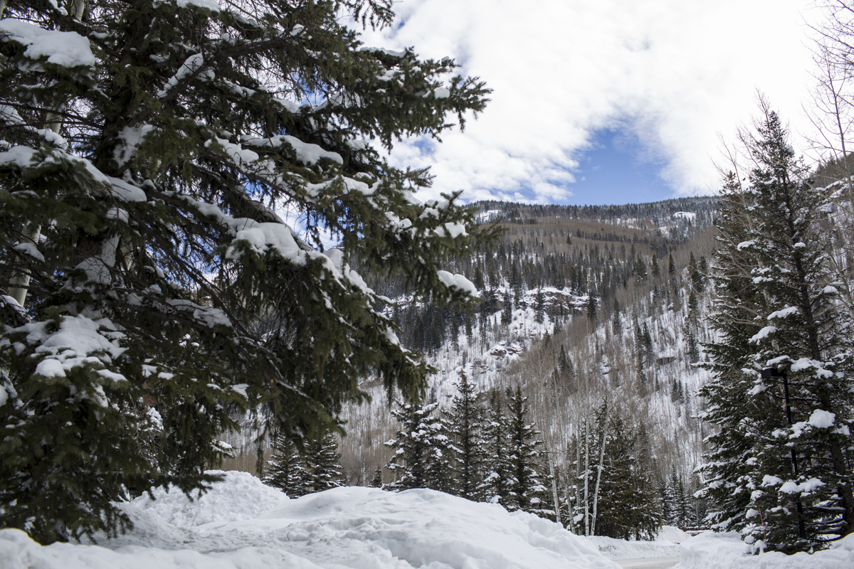 2-Vail-96.jpg