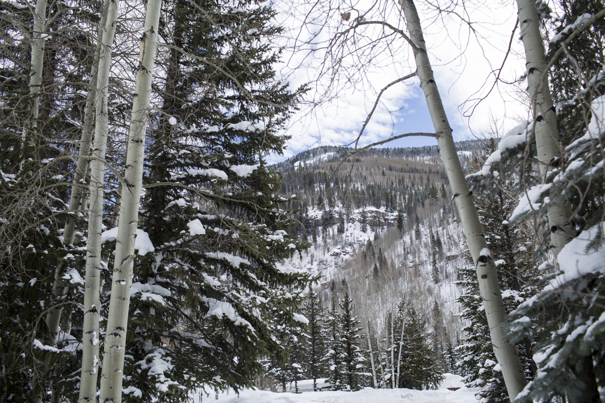 2-Vail-95.jpg