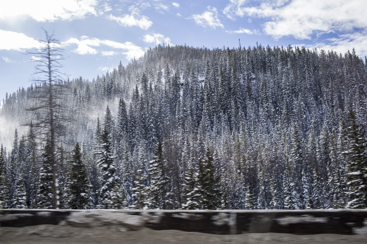 2-Vail-99.jpg