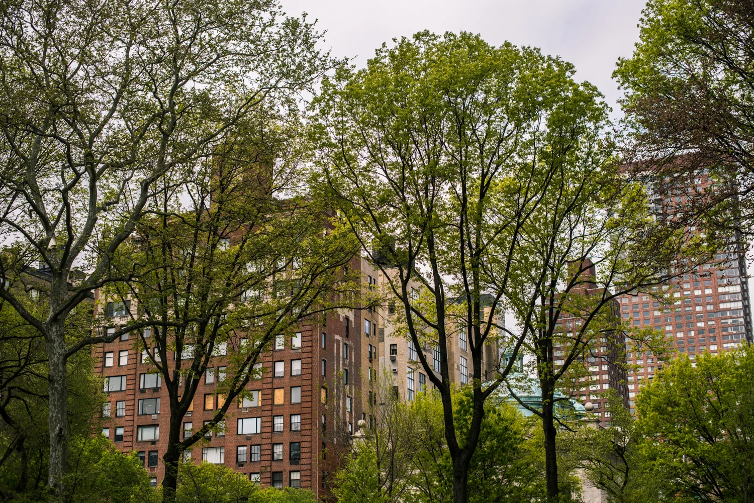 NYC-23.jpg