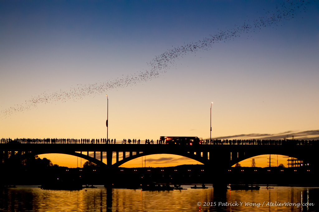 Ann W. Richards Congress Avenue Bridge