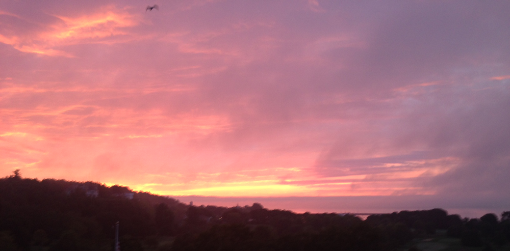 Bird flying away into a wonderful sunrise.