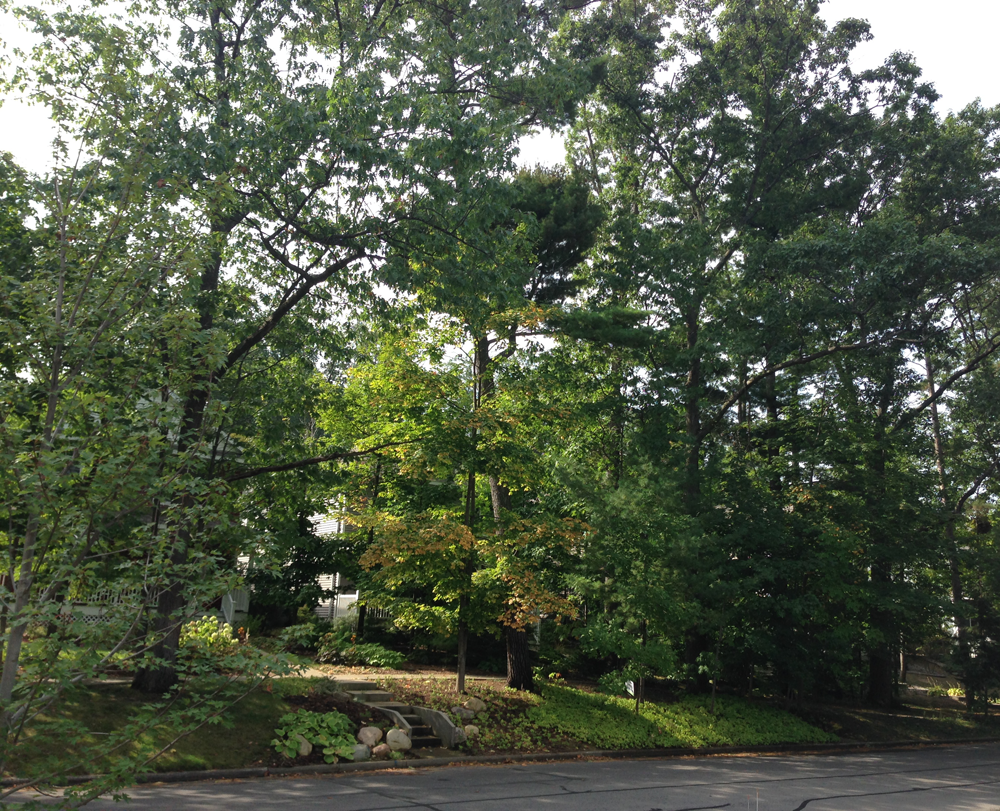 Autumn Update pix.png