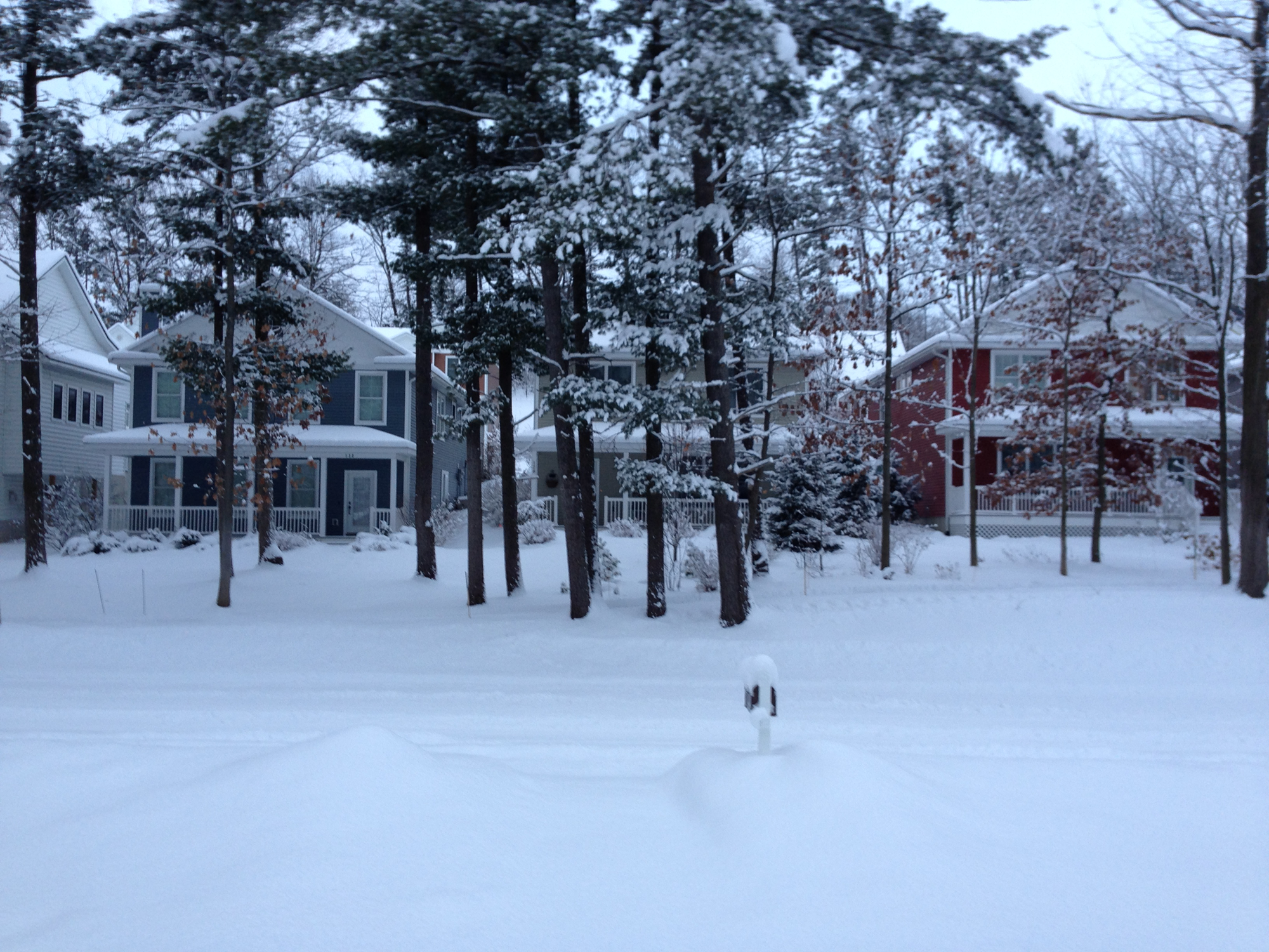 Snowday.png
