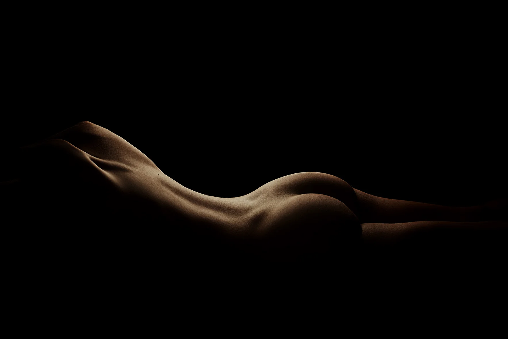 bodyscape-01.jpg
