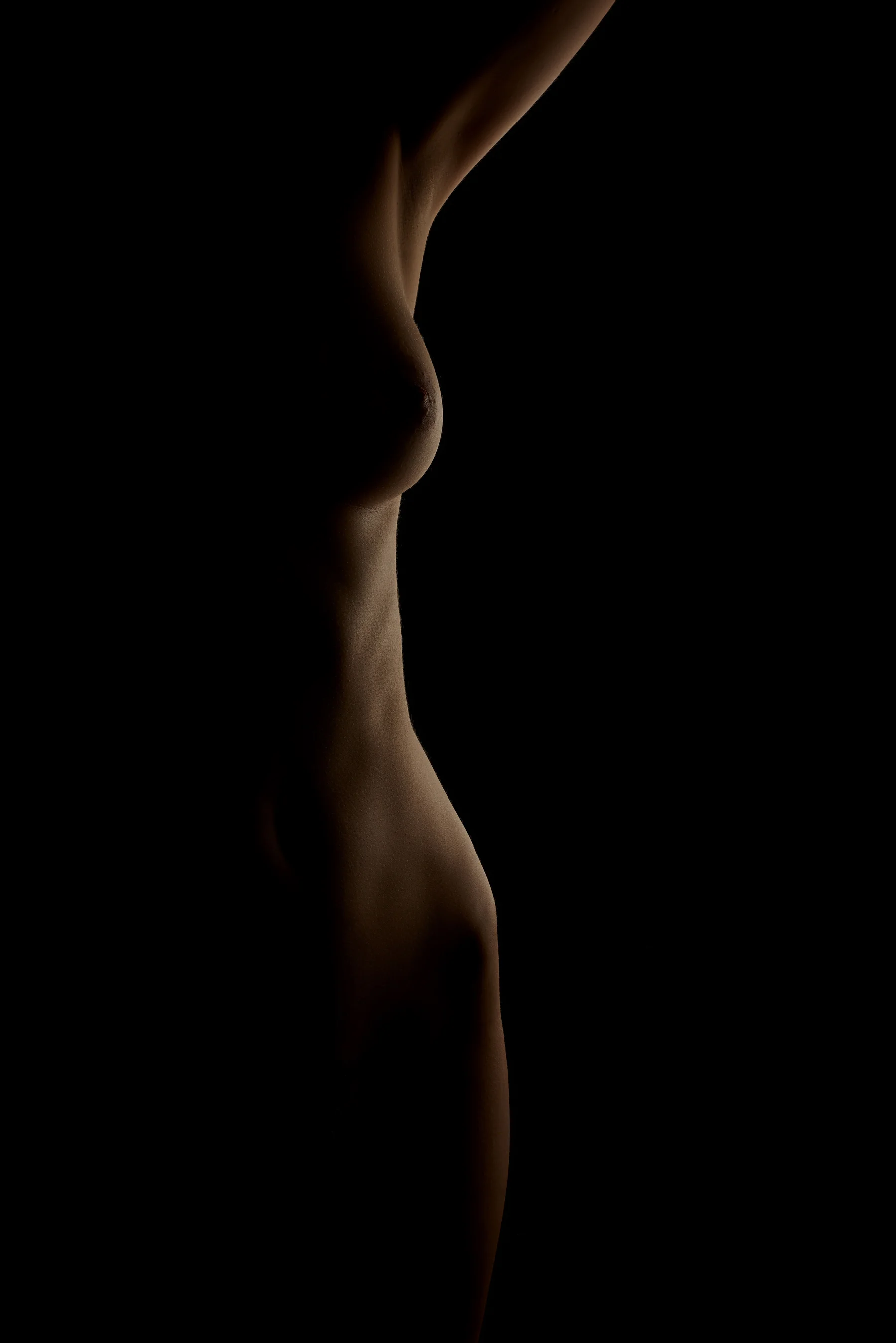 bodyscape03.jpg