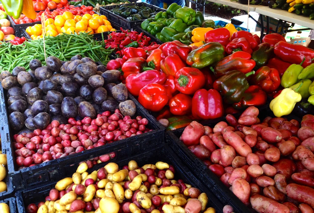 Episode 53: Local Farming and Our Food episode artwork