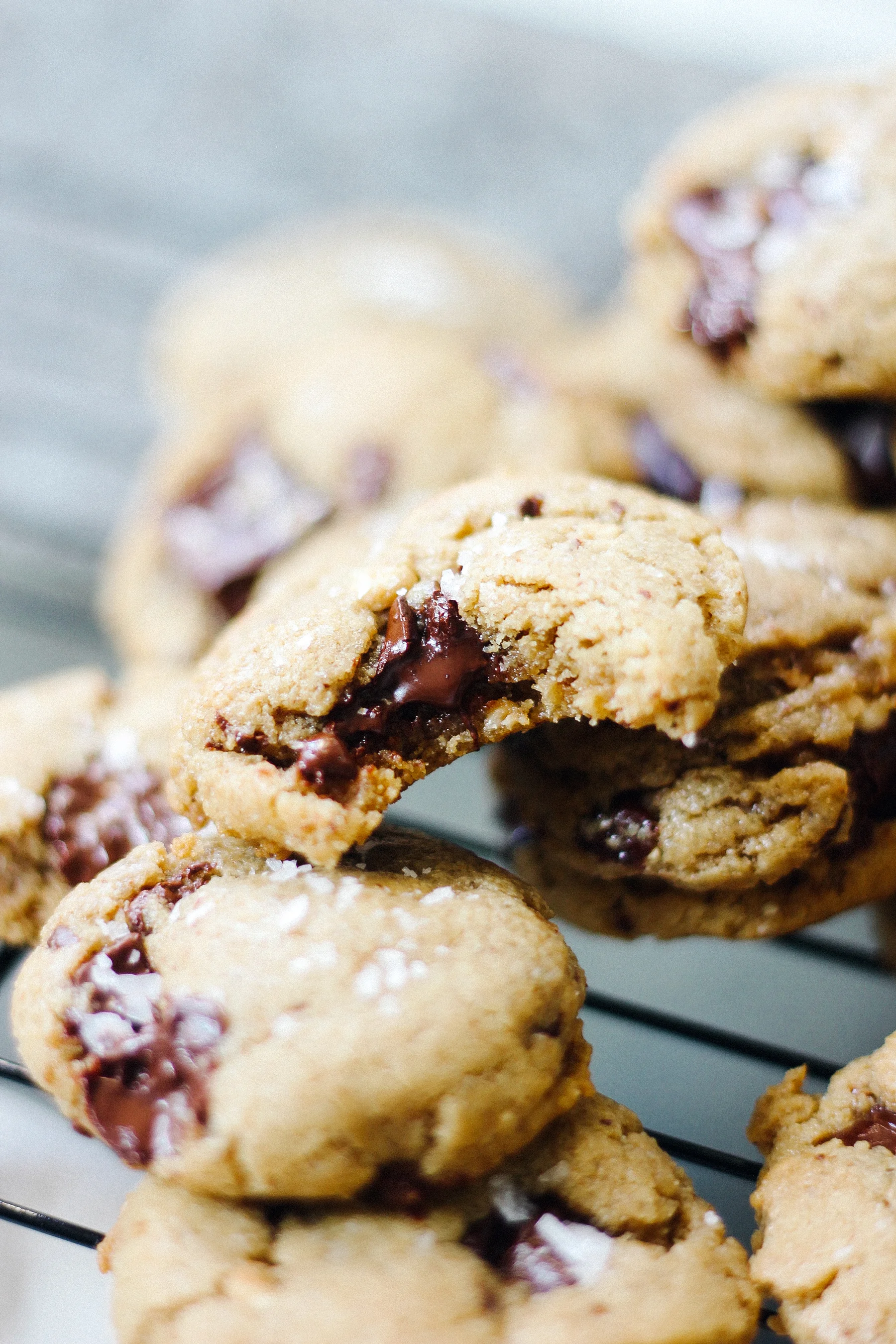 PBCC_cookie_6.jpg
