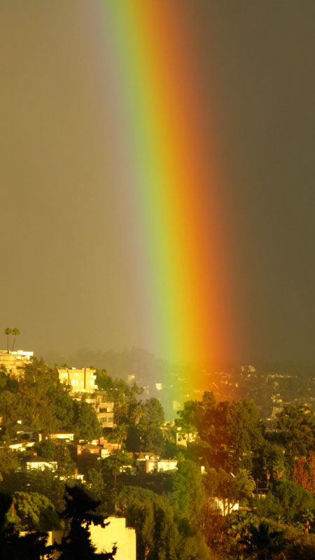 Rainbow over Hollywood