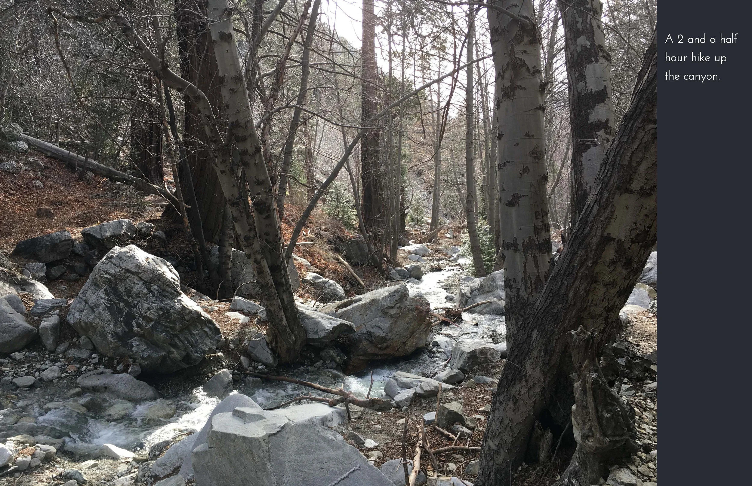 Rubbingnature1-2.jpg