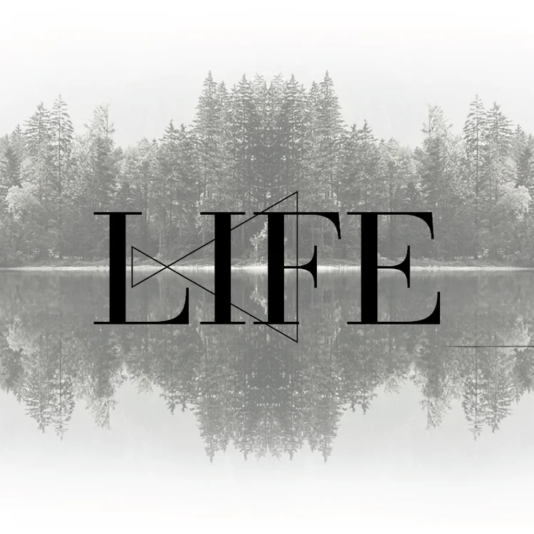 life.jpeg