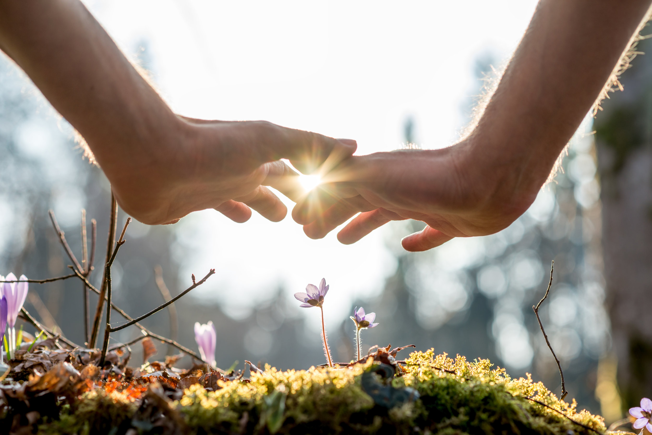 AdobeStock_81717411.jpeg
