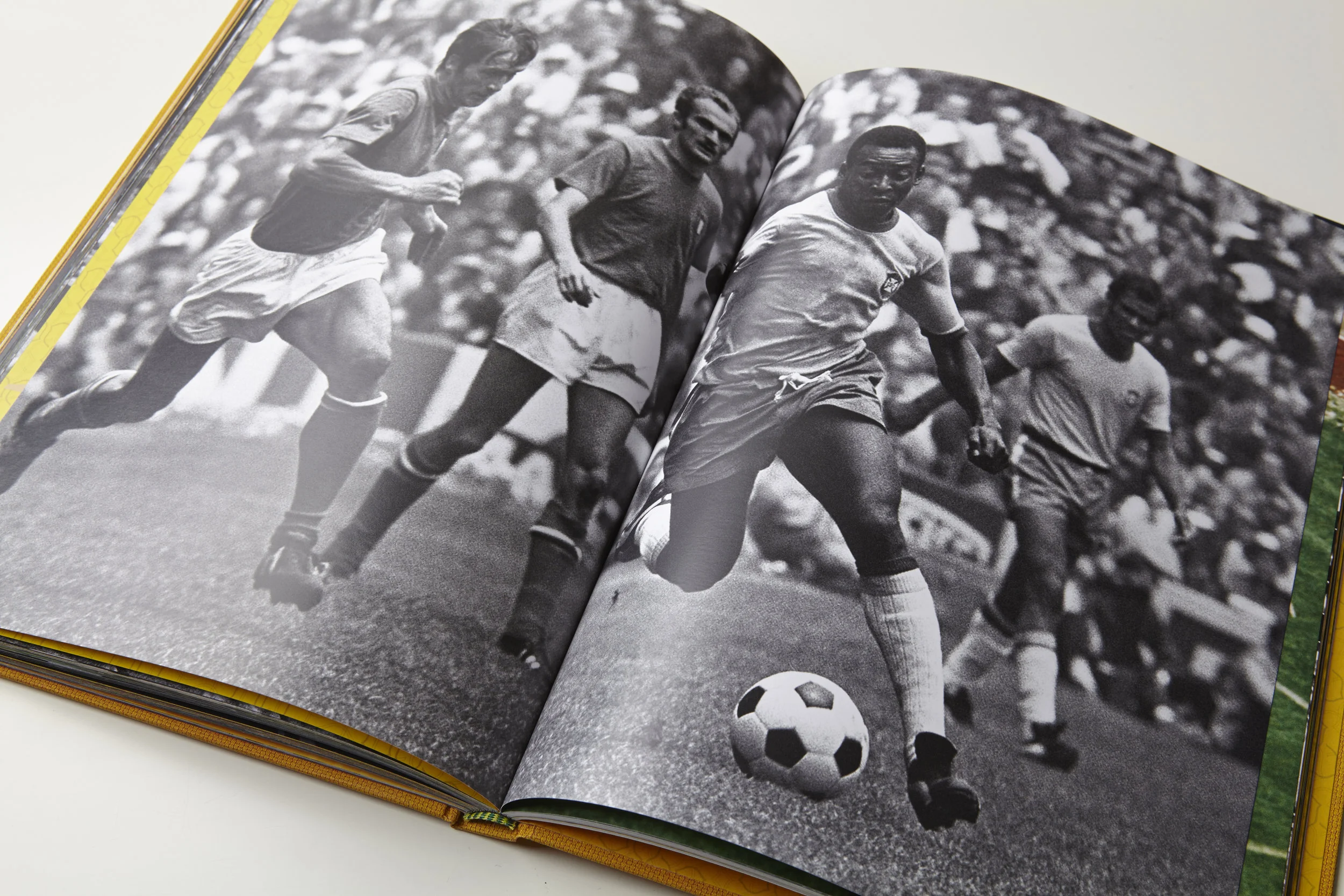 Untitled Session80989.jpg