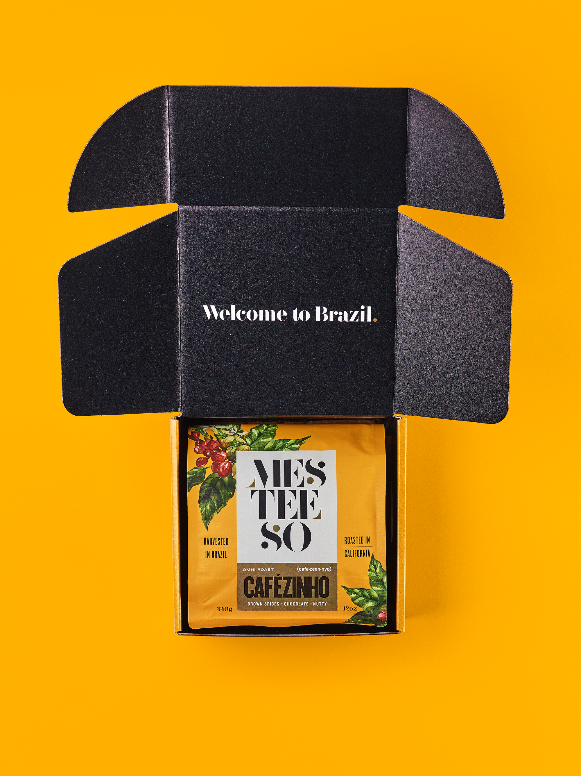 MESTEESO_6418_61570 copy.png