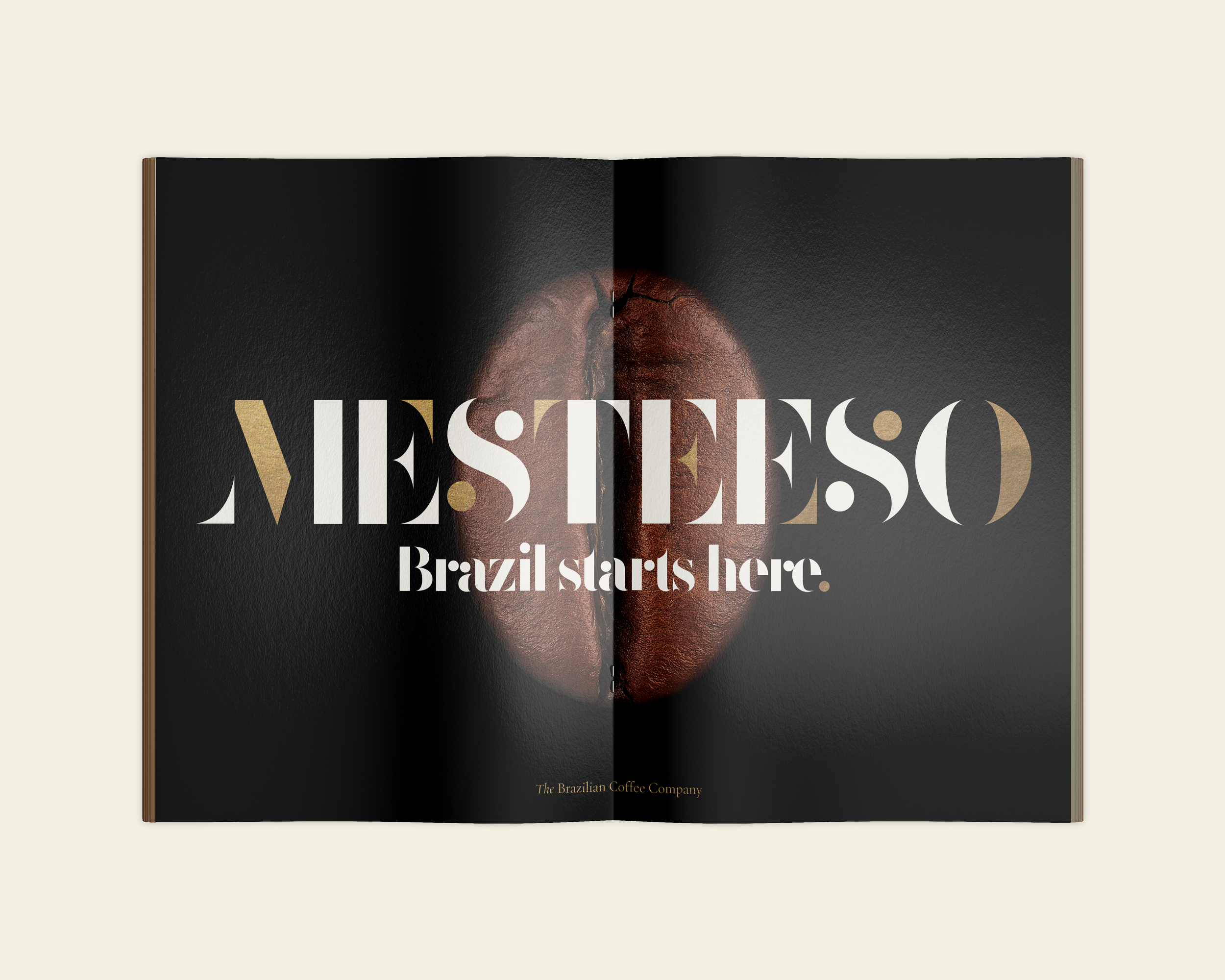 MESTEESO MAGAZINE.png