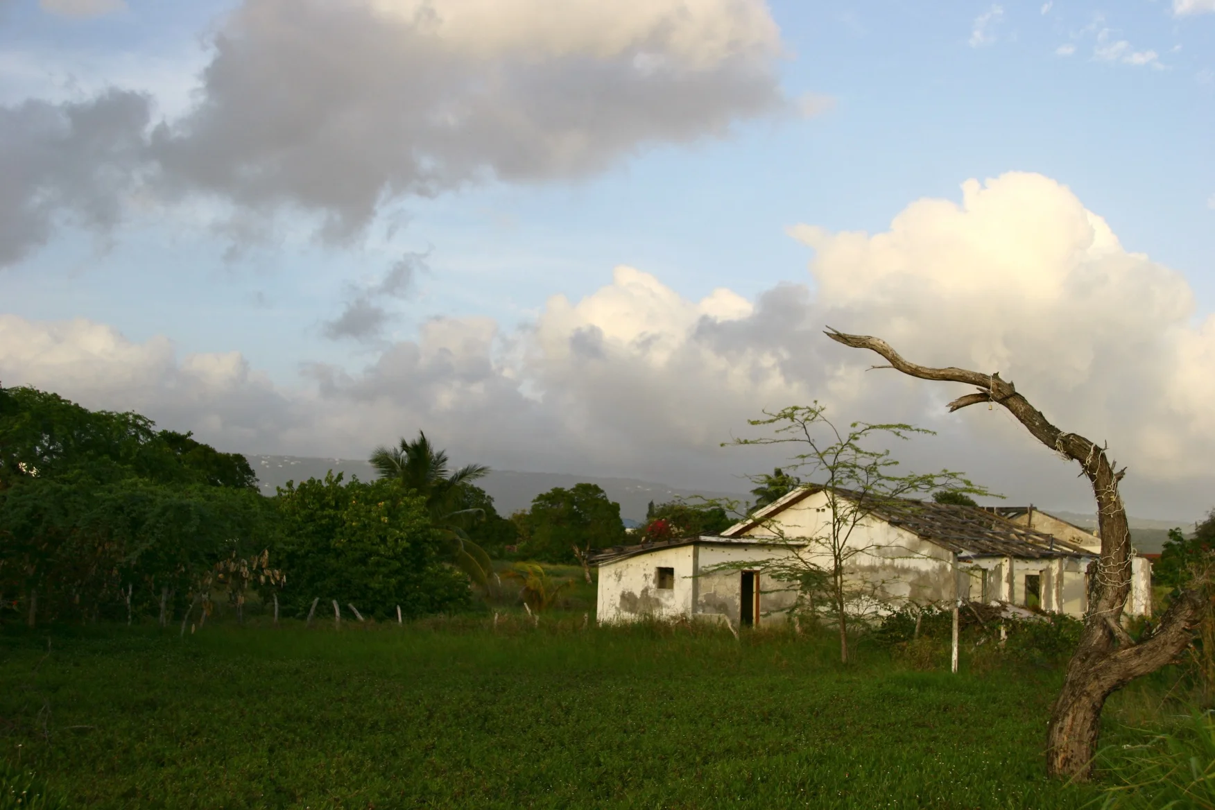 jamaica 1.jpg