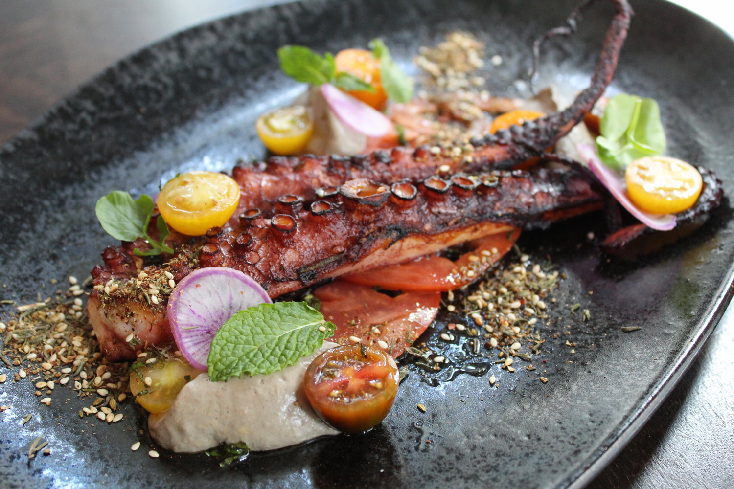 Gallery — Gran Morsi