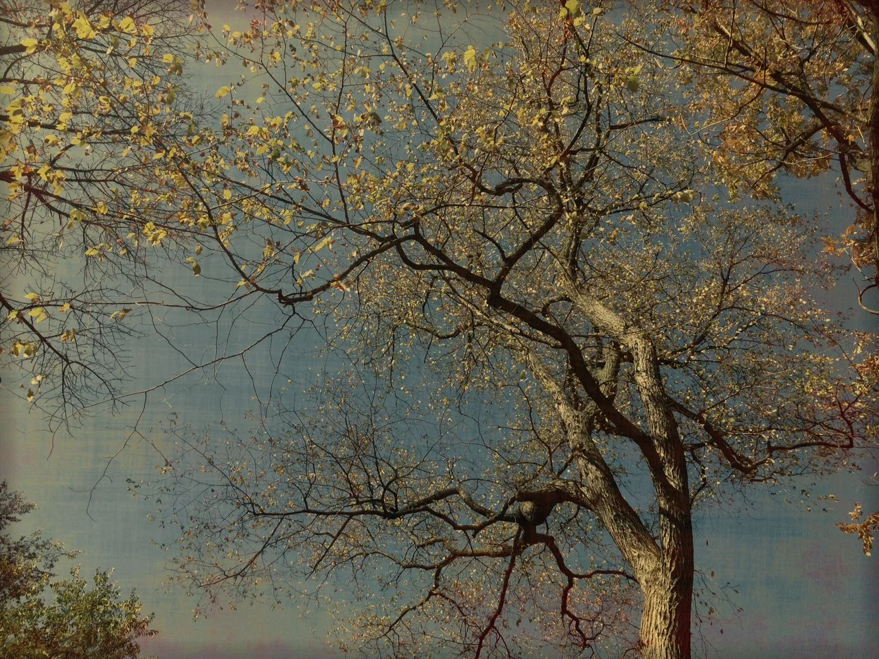 Autumn in New York City