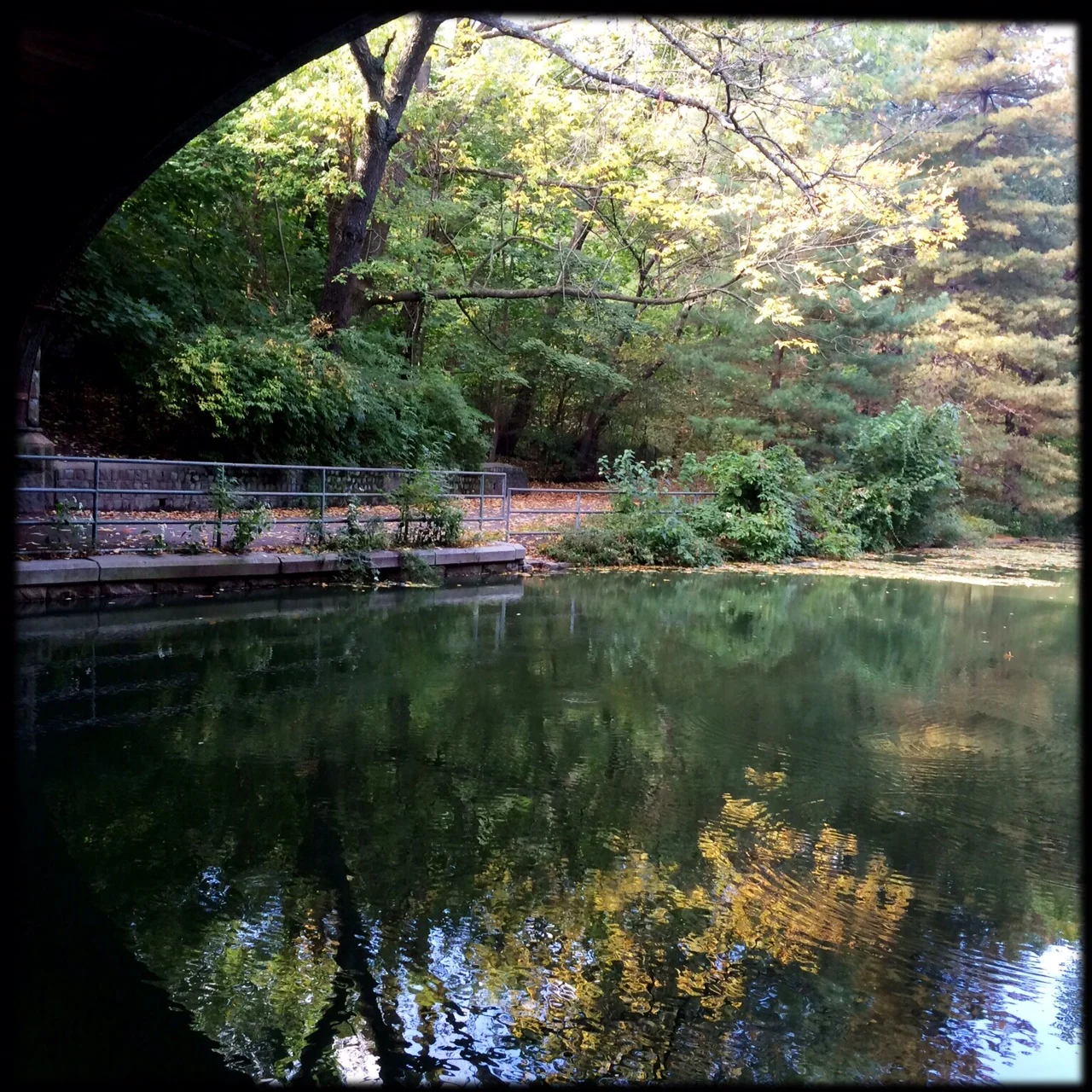 Under an Arch, Prospect Park