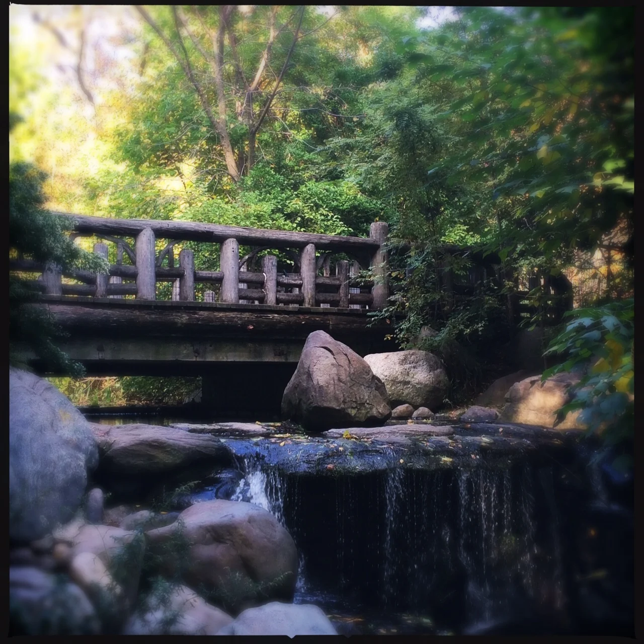 Can this be Brooklyn? Yep! Prospect Park.