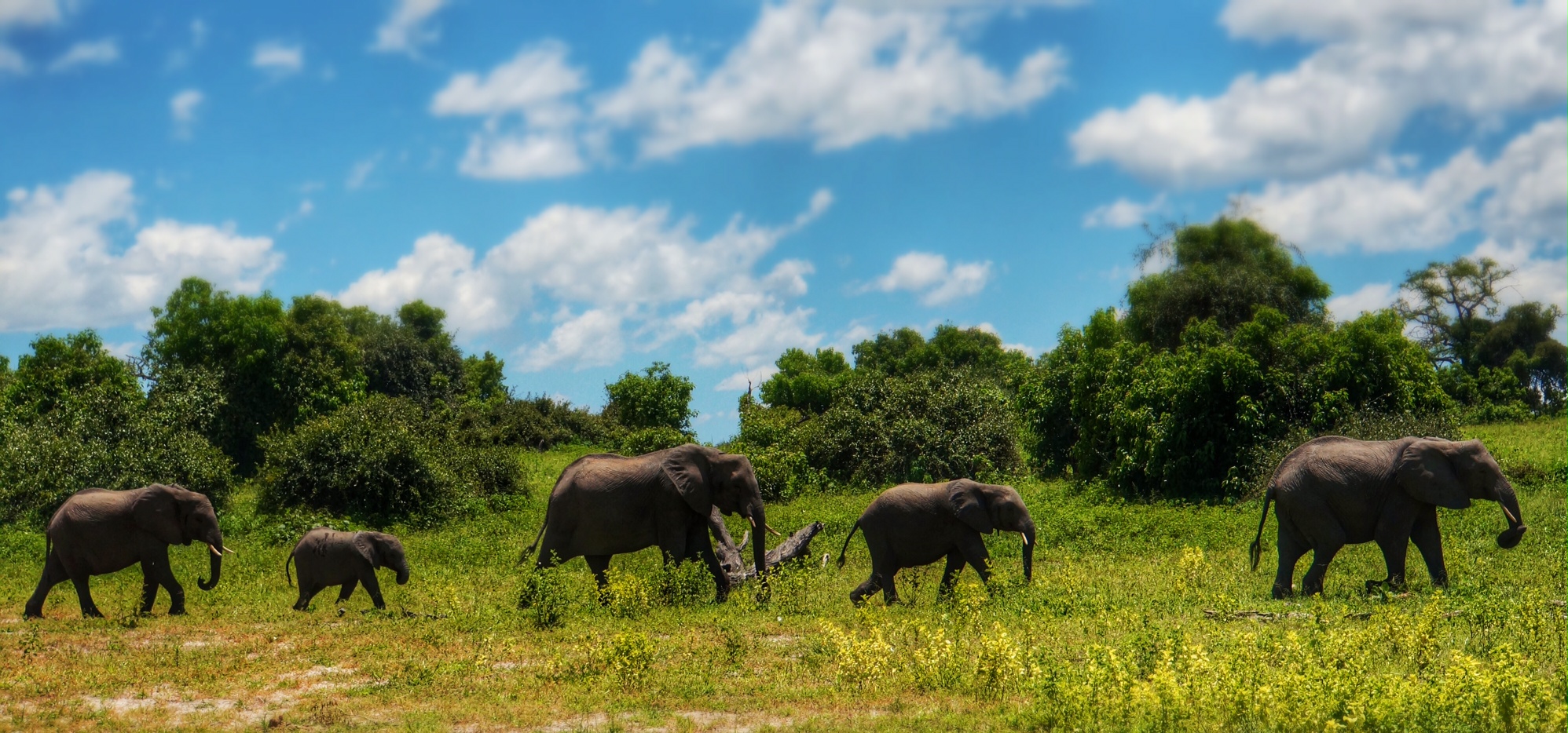 Overlanding in Africa seemed like it would be the uber road trip.