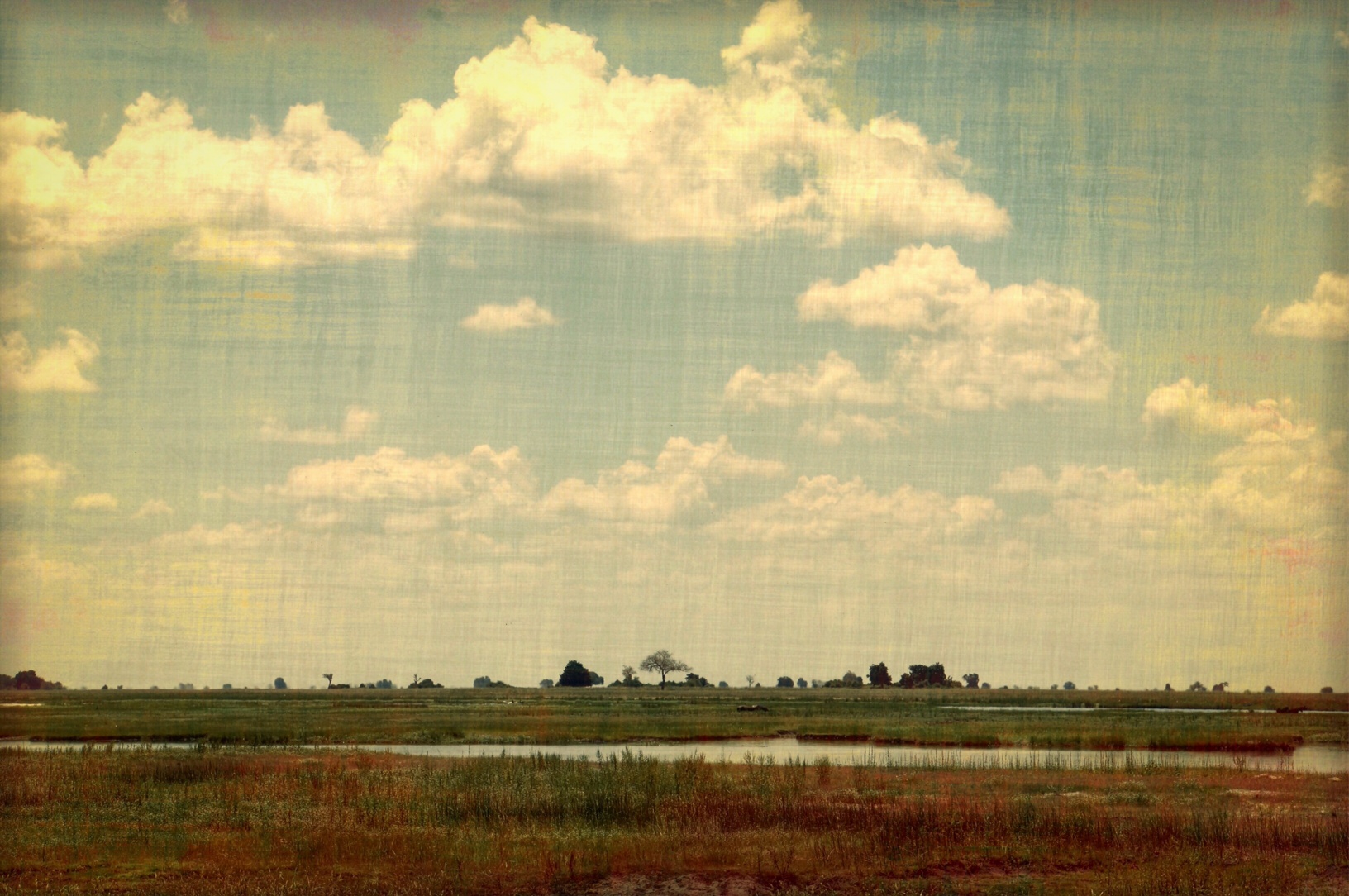 Looking out to Namibia.