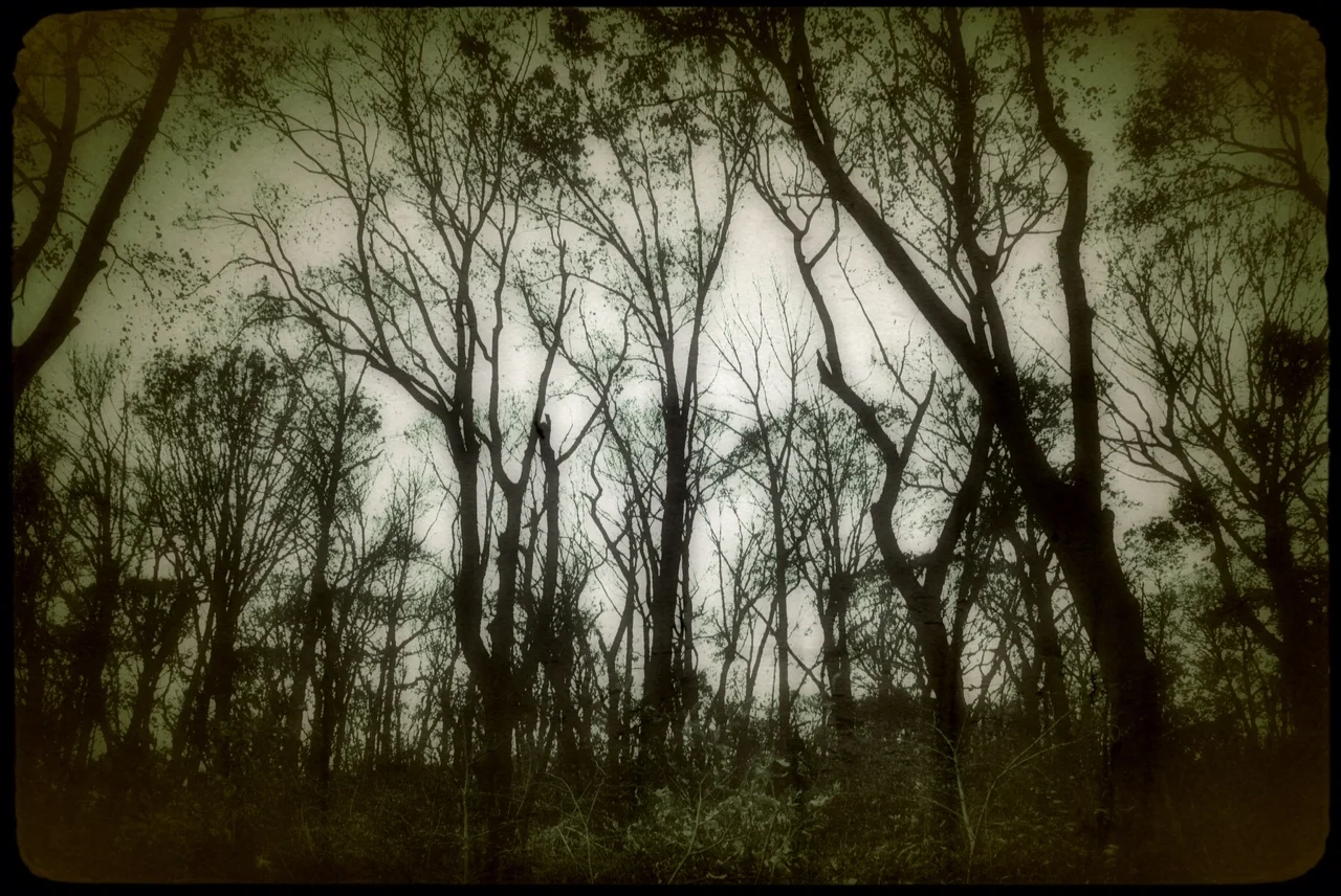 Haunted House, seriously.