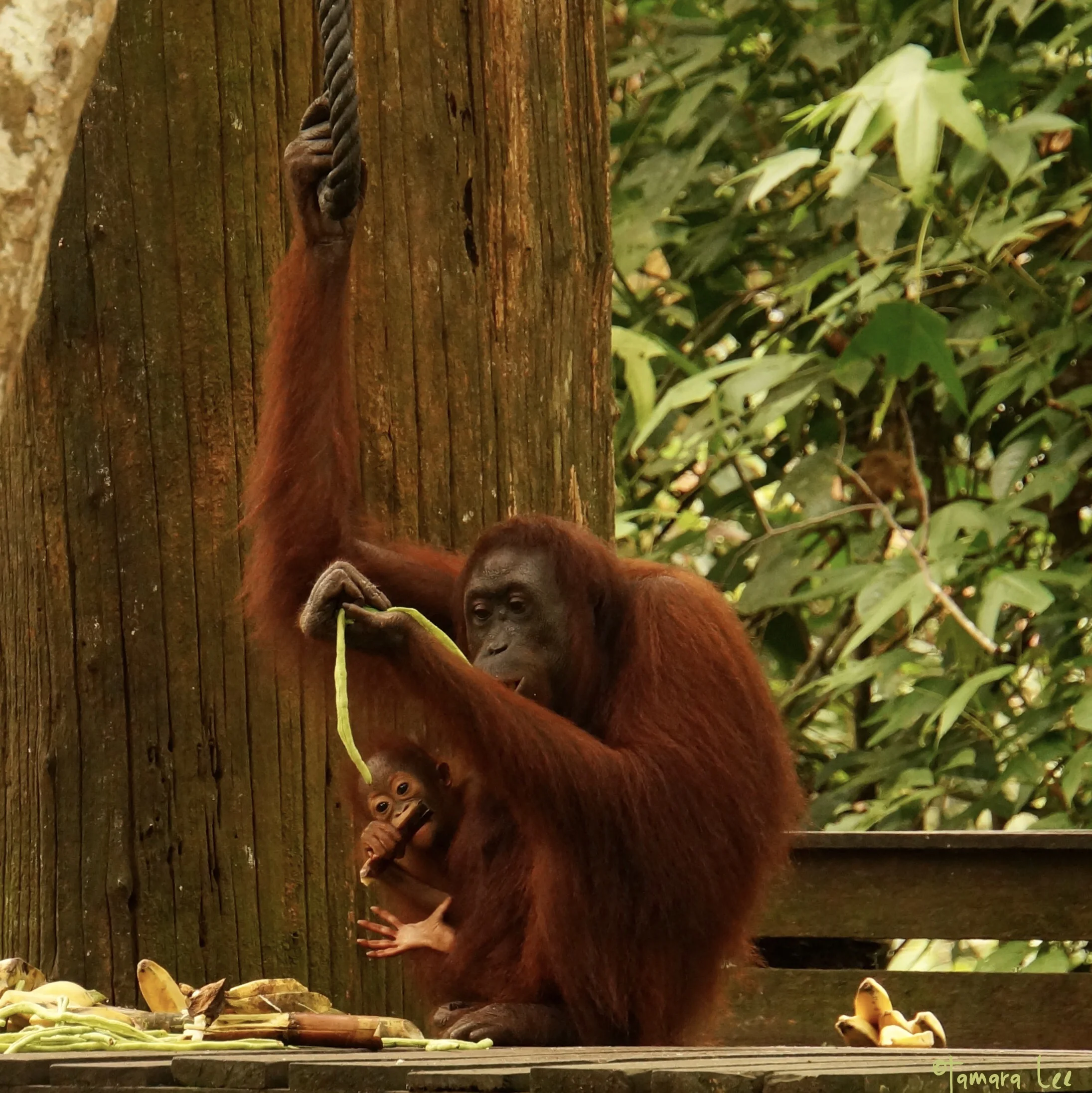snack time