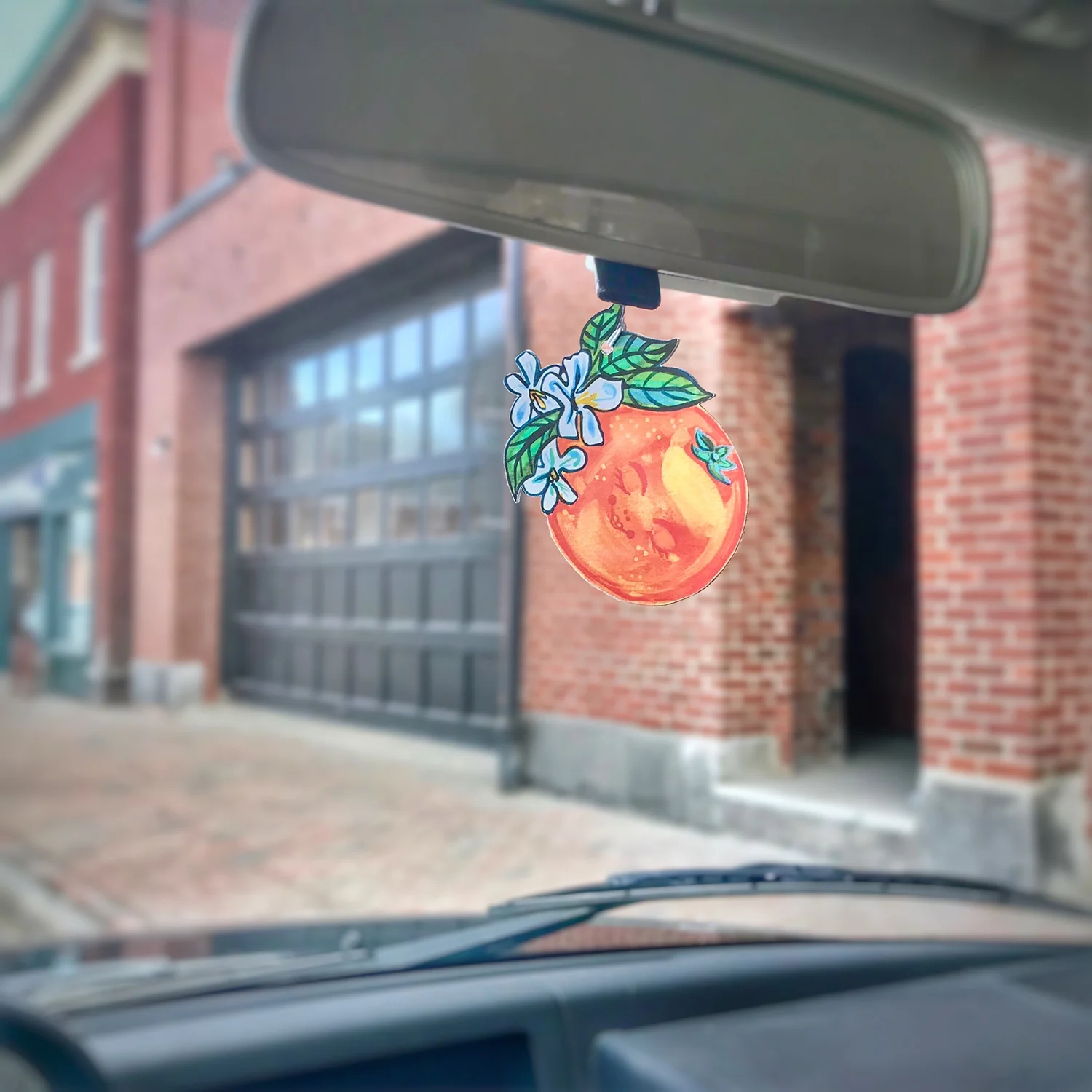 Essential oil air fresheners!!!! Yup. ☺︎