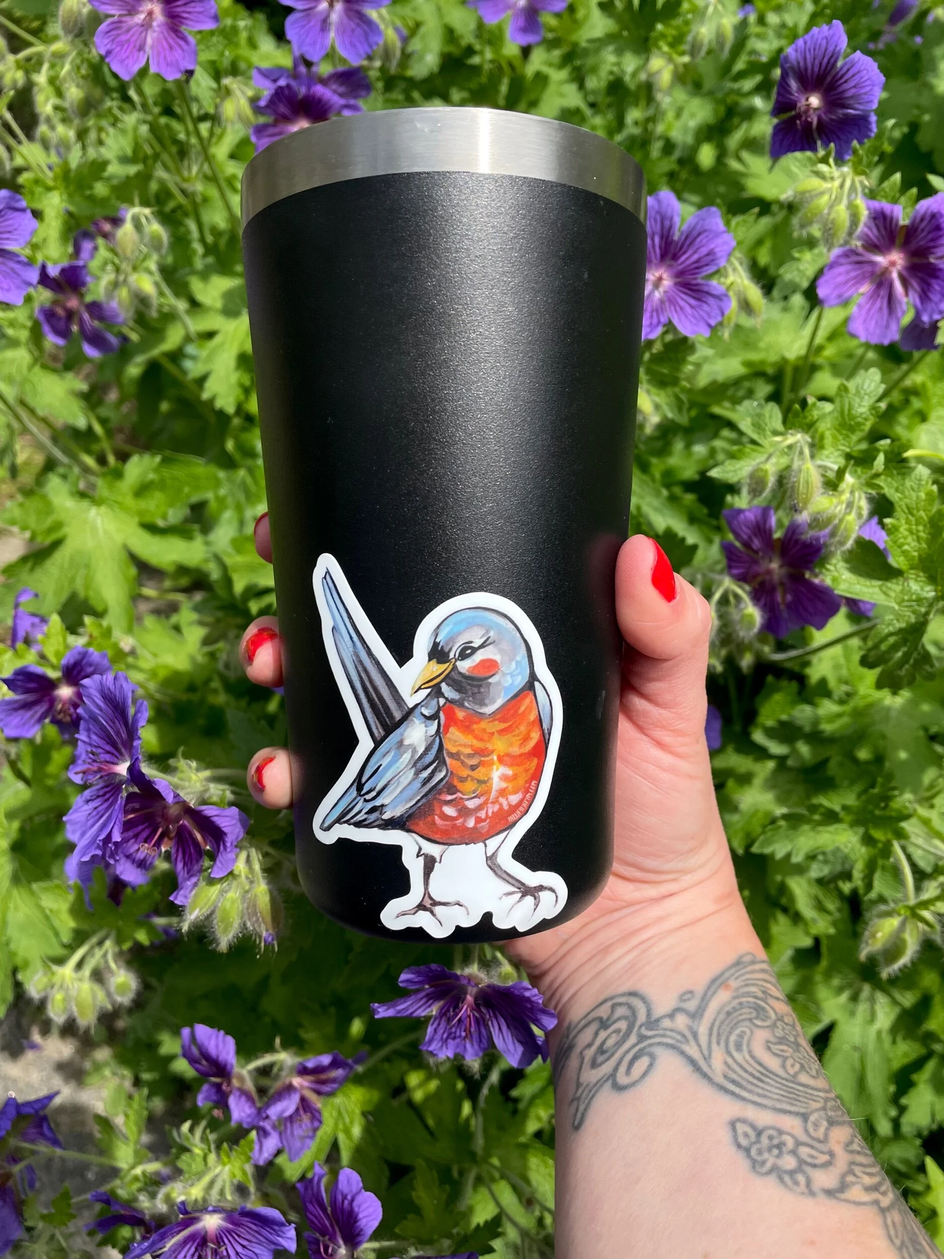 ED55ED24-7D22-4293-A575-8DA76A42E575