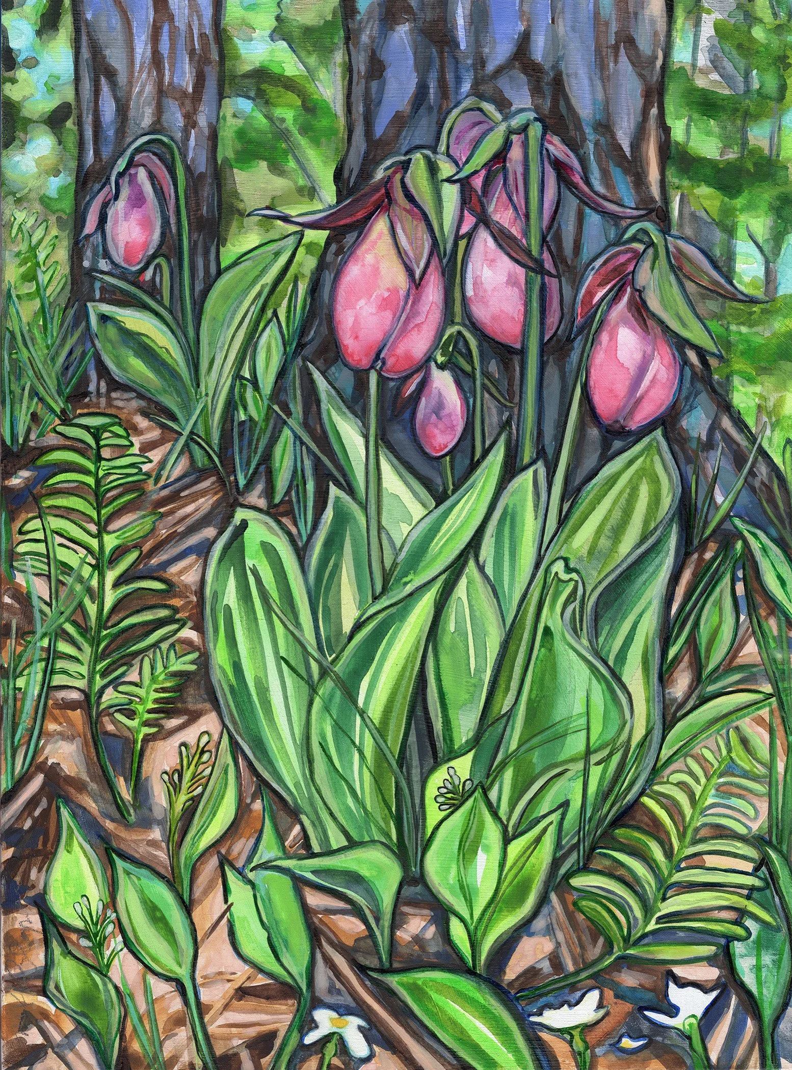 LadySlipper5x7.jpg