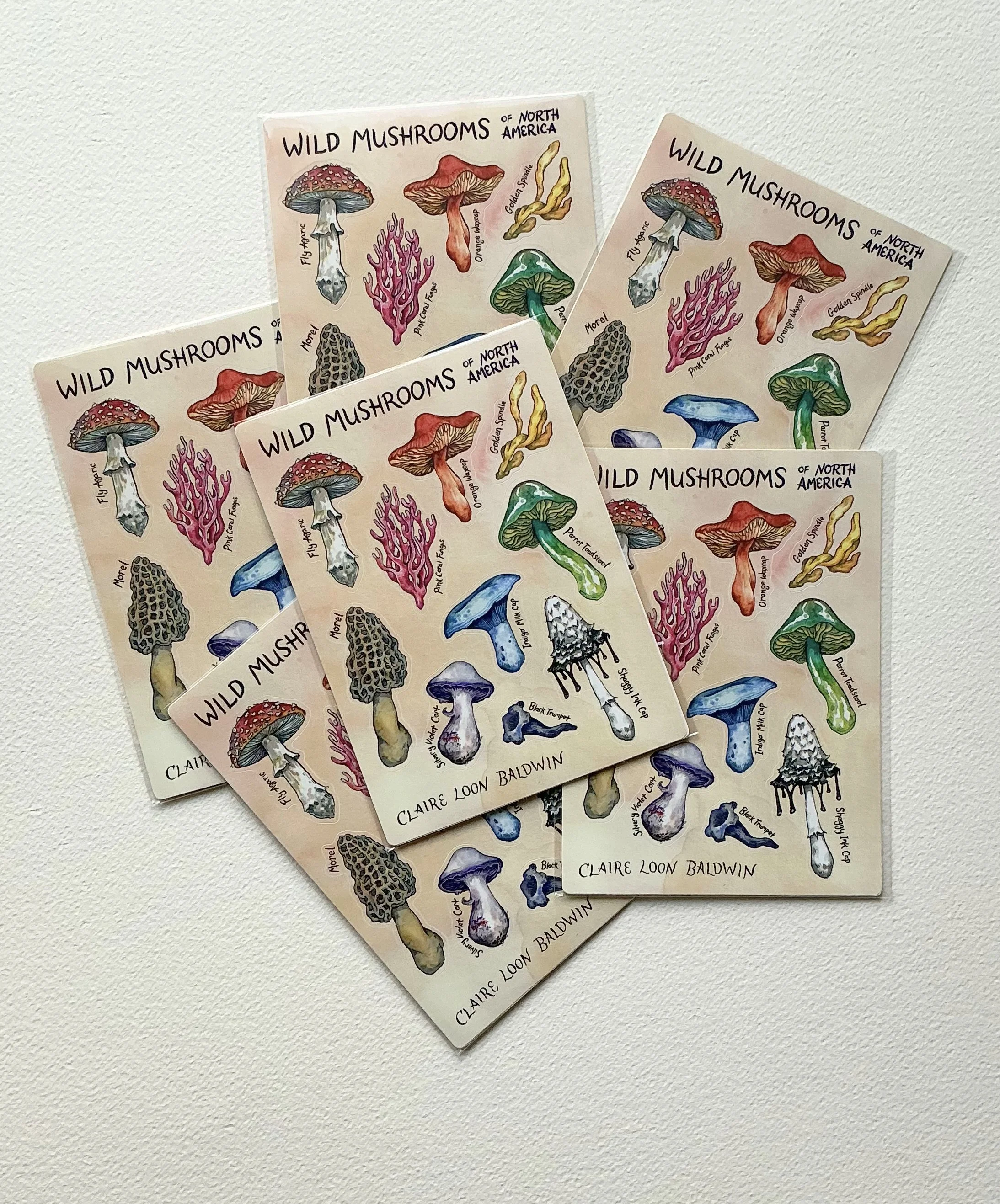 Mushroom sticker sheets.jpg