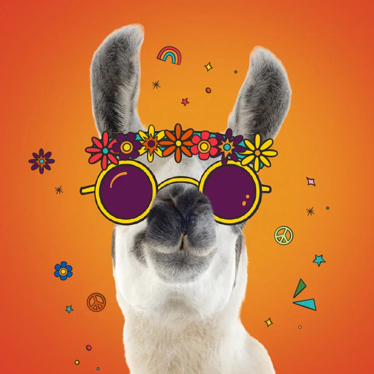llama_hippy.jpg