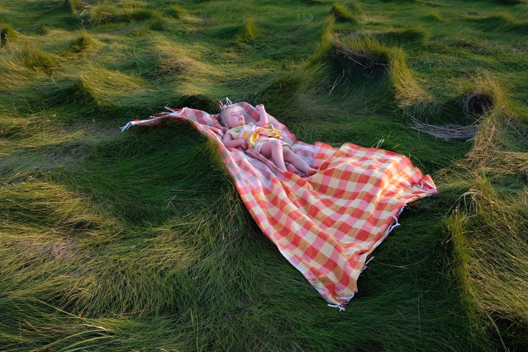 F12B8473-322E-4897-BC83-CC699736C868